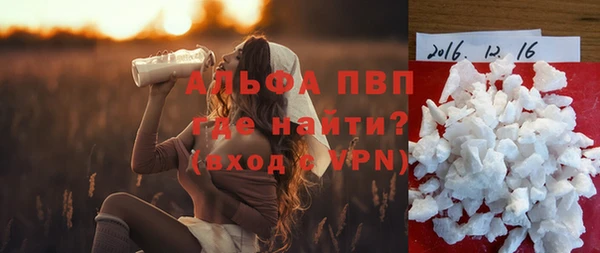амф Козельск
