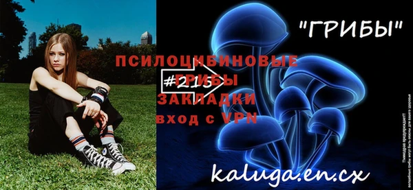 мдпв Краснотурьинск